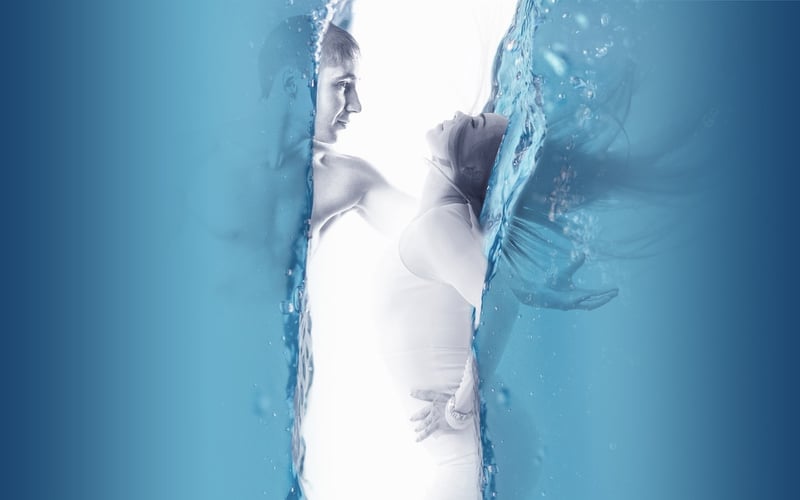 Melded Taste Sensations